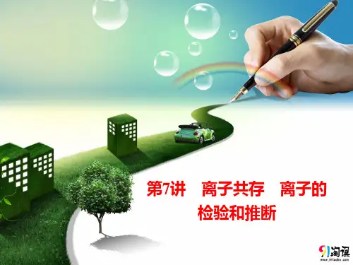 课件4：离子共存   离子的检验和推断