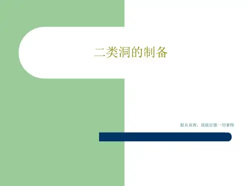 二类洞的制备PPT15页