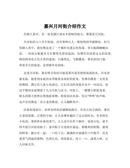 嘉兴月河街介绍作文