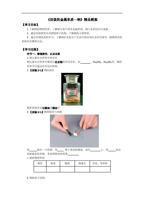 《活泼的金属单质—钠》精品教案