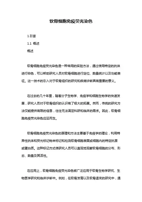 软骨细胞免疫荧光染色