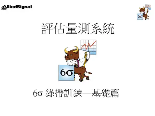 绿带学习资料10_MEAS