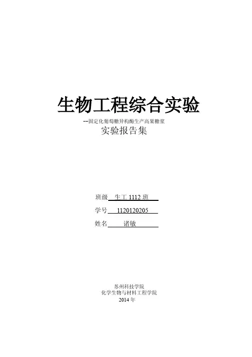 固定化葡萄糖异构酶生产高果糖浆