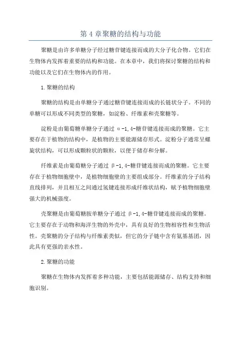 第4章聚糖的结构与功能