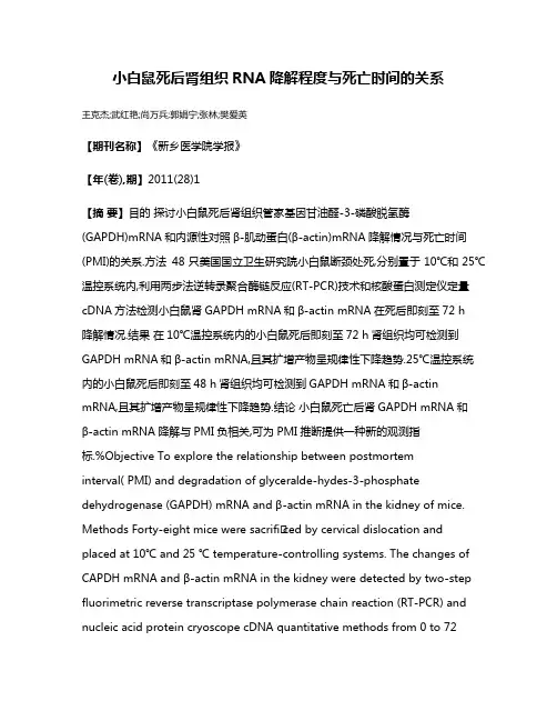小白鼠死后肾组织RNA降解程度与死亡时间的关系