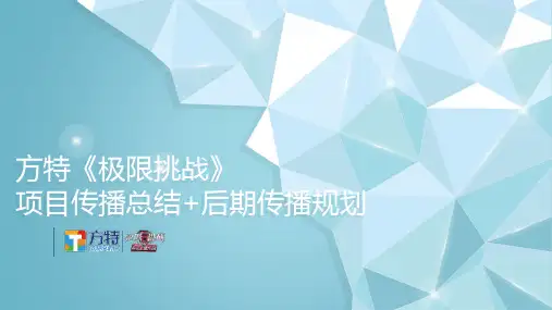 大型游乐园方特《极限挑战》项目传播总结后期传播规划推广方案