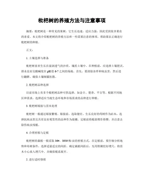 枇杷树的养殖方法与注意事项