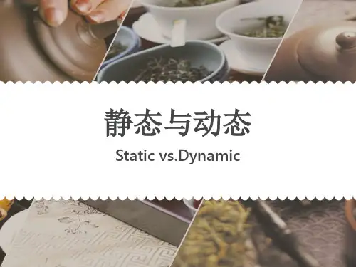 英汉对比研究 静态与动态