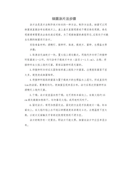 细菌涂片法步骤