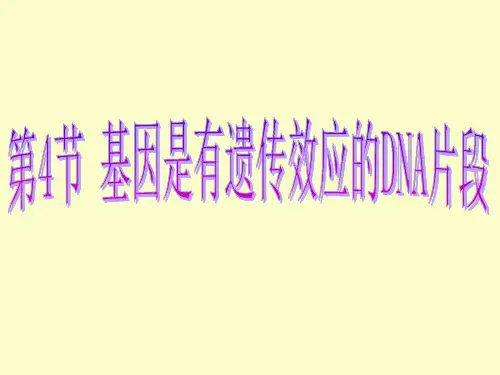 基因是有遗传效应的DNA片段