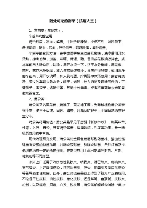 随处可挖的野菜（抗癌大王）