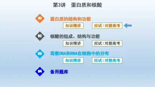 高三一轮复习：蛋白质和核酸