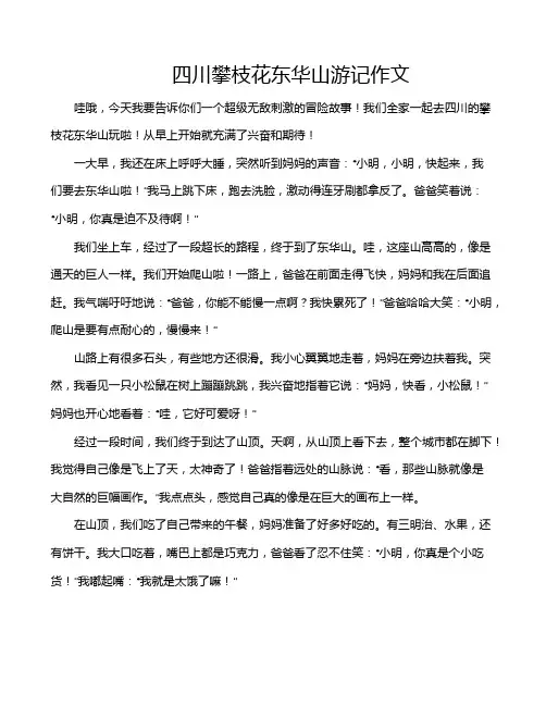 四川攀枝花东华山游记作文