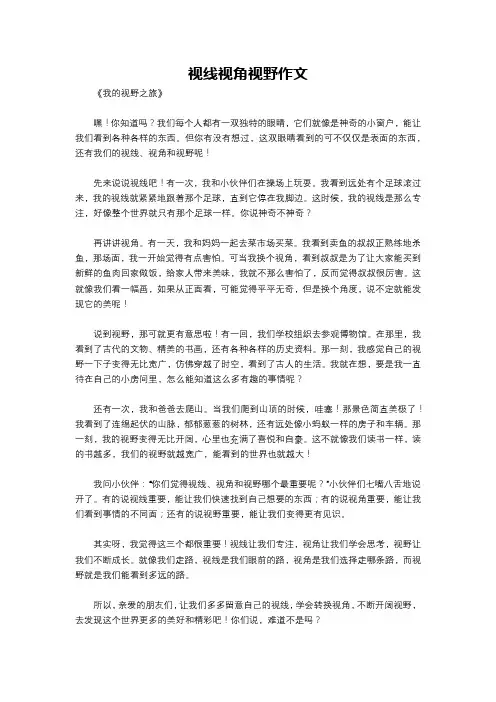 视线视角视野作文