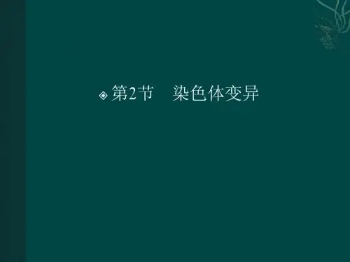 金版人教生物必修二：5-2(课件)