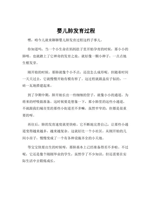 婴儿肺发育过程