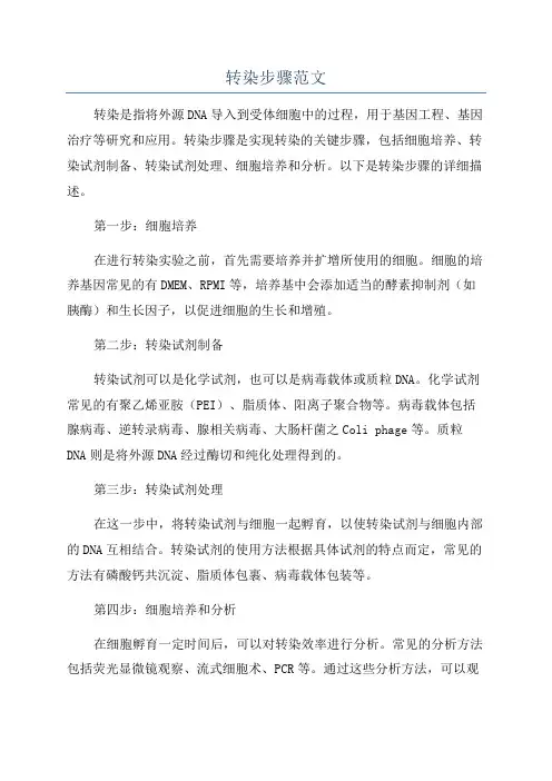 转染步骤范文