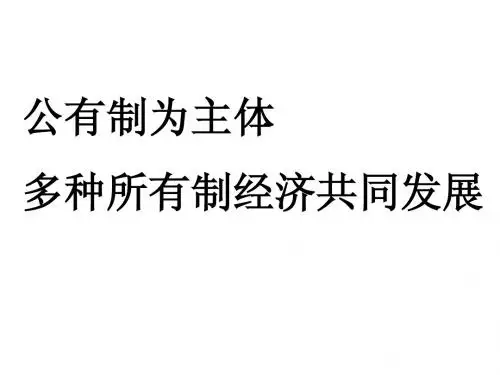 公有制为主体、多种所有制经济共同发展(经典)