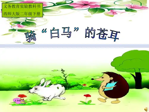 骑白马的苍耳_____课件