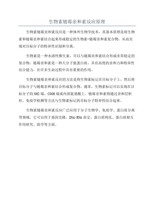 生物素链霉亲和素反应原理