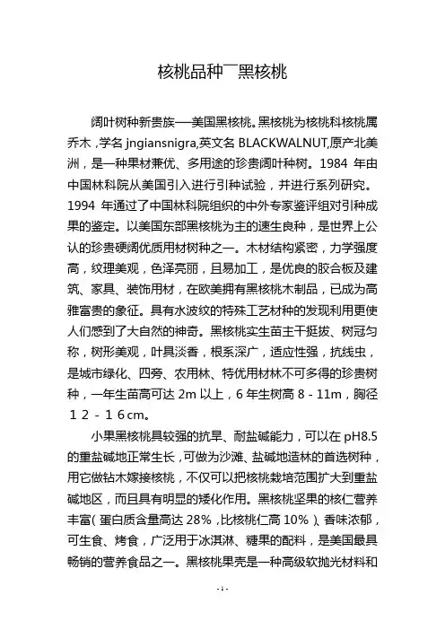 核桃品种――黑核桃