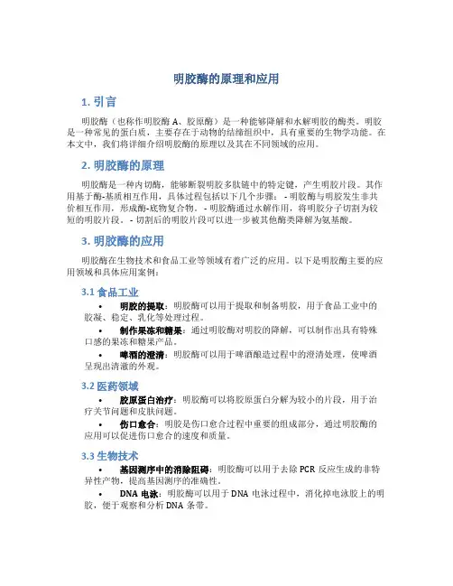 明胶酶的原理和应用