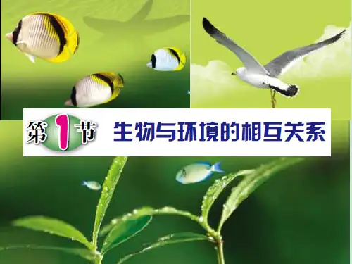 初中科学精品课件—第1节  生物与环境的相互关系