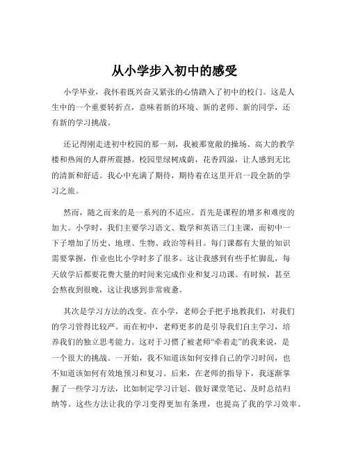 从小学步入初中的感受