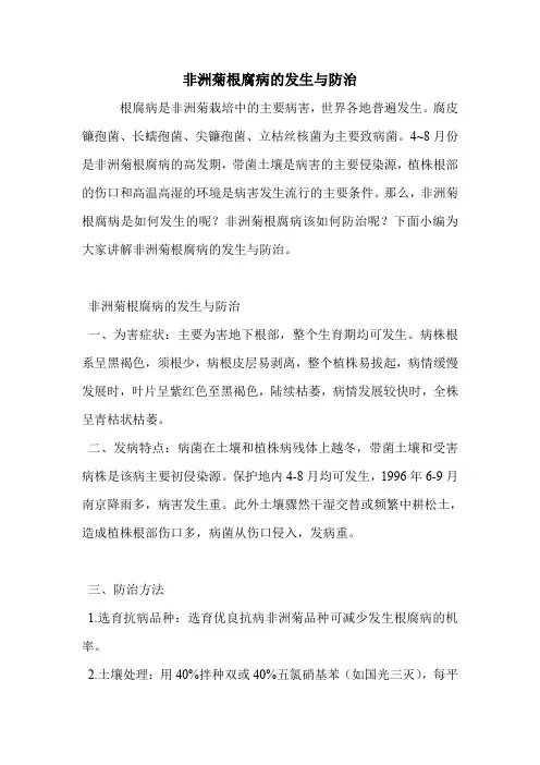 非洲菊根腐病的发生与防治