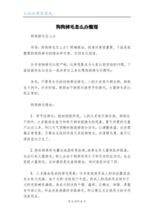 狗狗掉毛怎么办整理