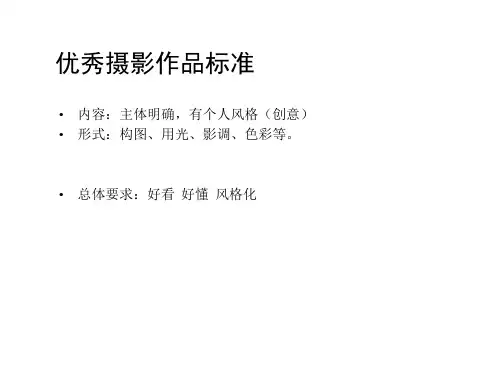 摄影作品分析