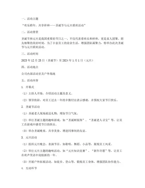 圣诞节和元旦方案