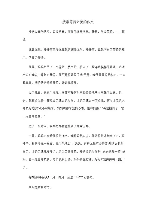 搜索等待之美的作文