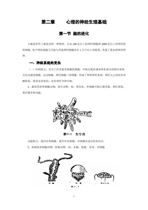 第二章 心理的神经生理基础