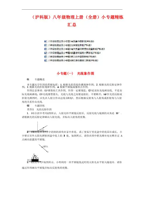 【沪科版】2021年八年级物理上册（全书）小专题精练全集（史上最全版）