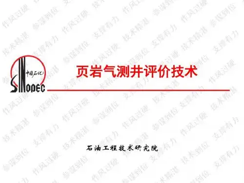 页岩气测井评价技术