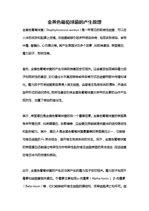 金黄色葡萄球菌的产生原理