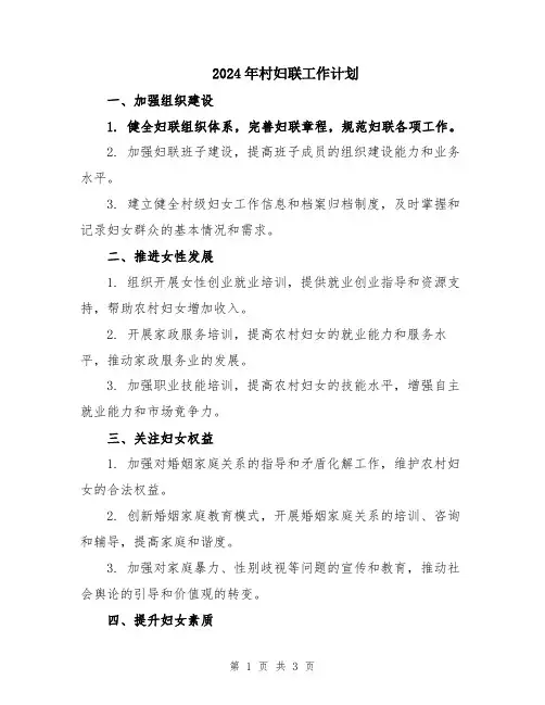 2024年村妇联工作计划