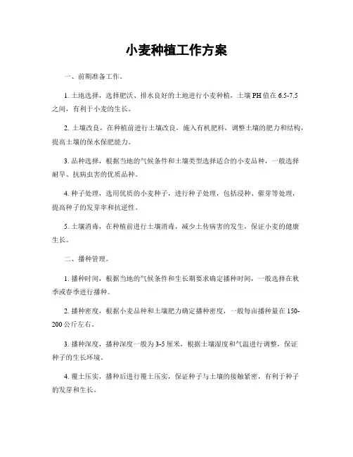 小麦种植工作方案