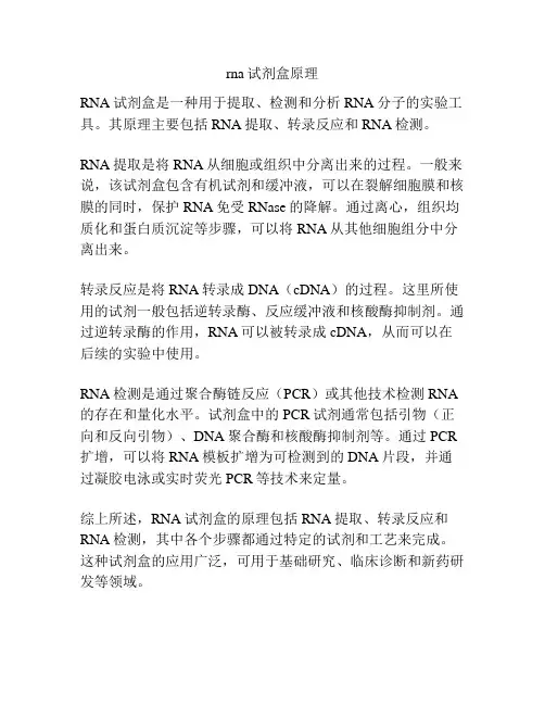 rna试剂盒原理