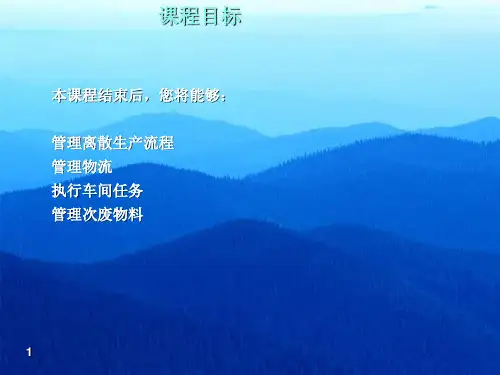 WIP培训课件