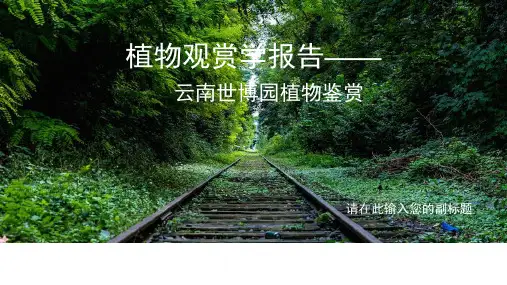 物种名录