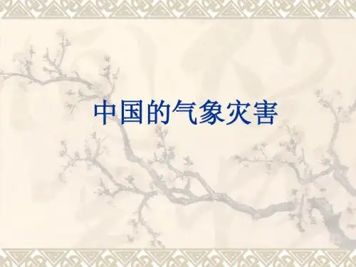 中国的气象灾害