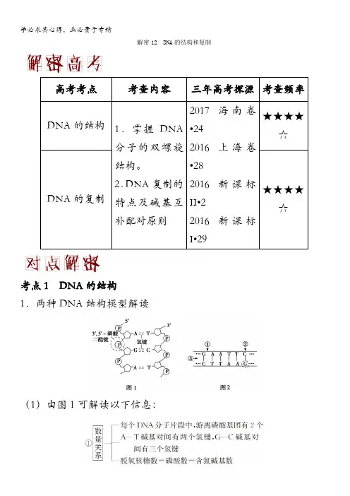 DNA的结构和复制化学之高频考点 