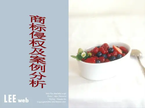 《商标侵权案例分析》PPT课件-PPT课件
