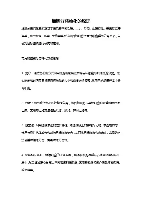 细胞分离纯化的原理