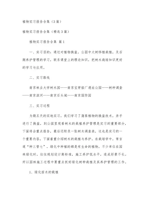 植物实习报告合集(3篇)