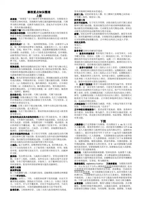 局部解剖学考试重点