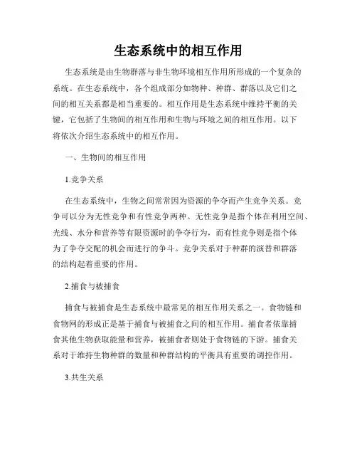 生态系统中的相互作用