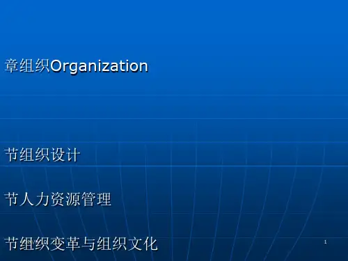 管理学概论(第五章组织)